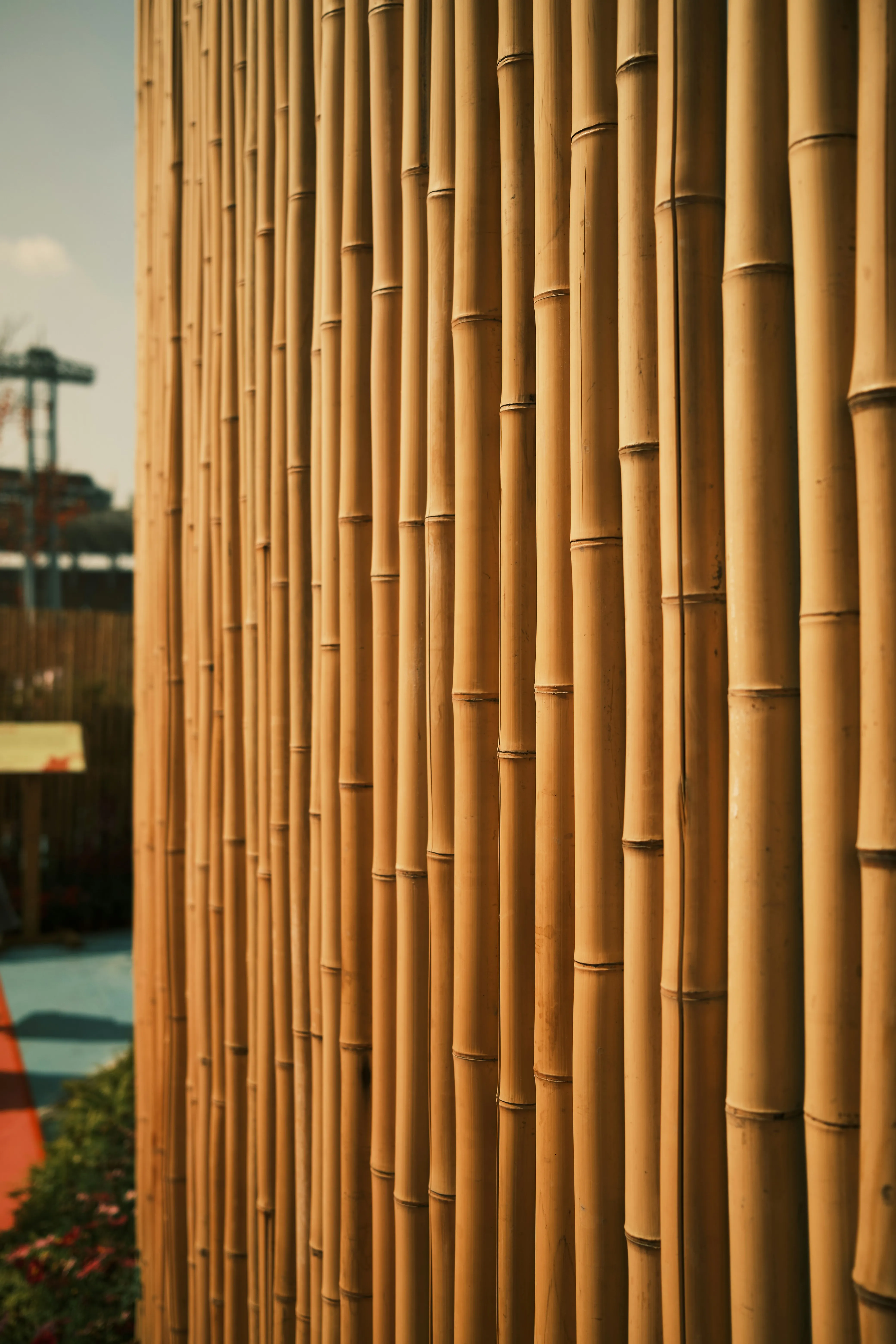 brown-bamboos-img